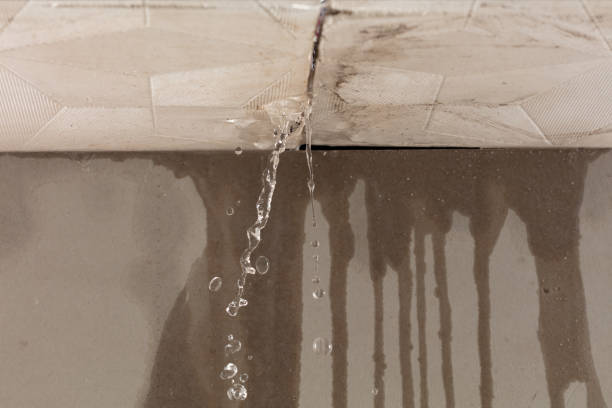 Professional Burst Pipe Cleanup technician working in Henderson, MN